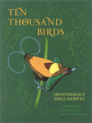 cover image of Ten Thousand Birds